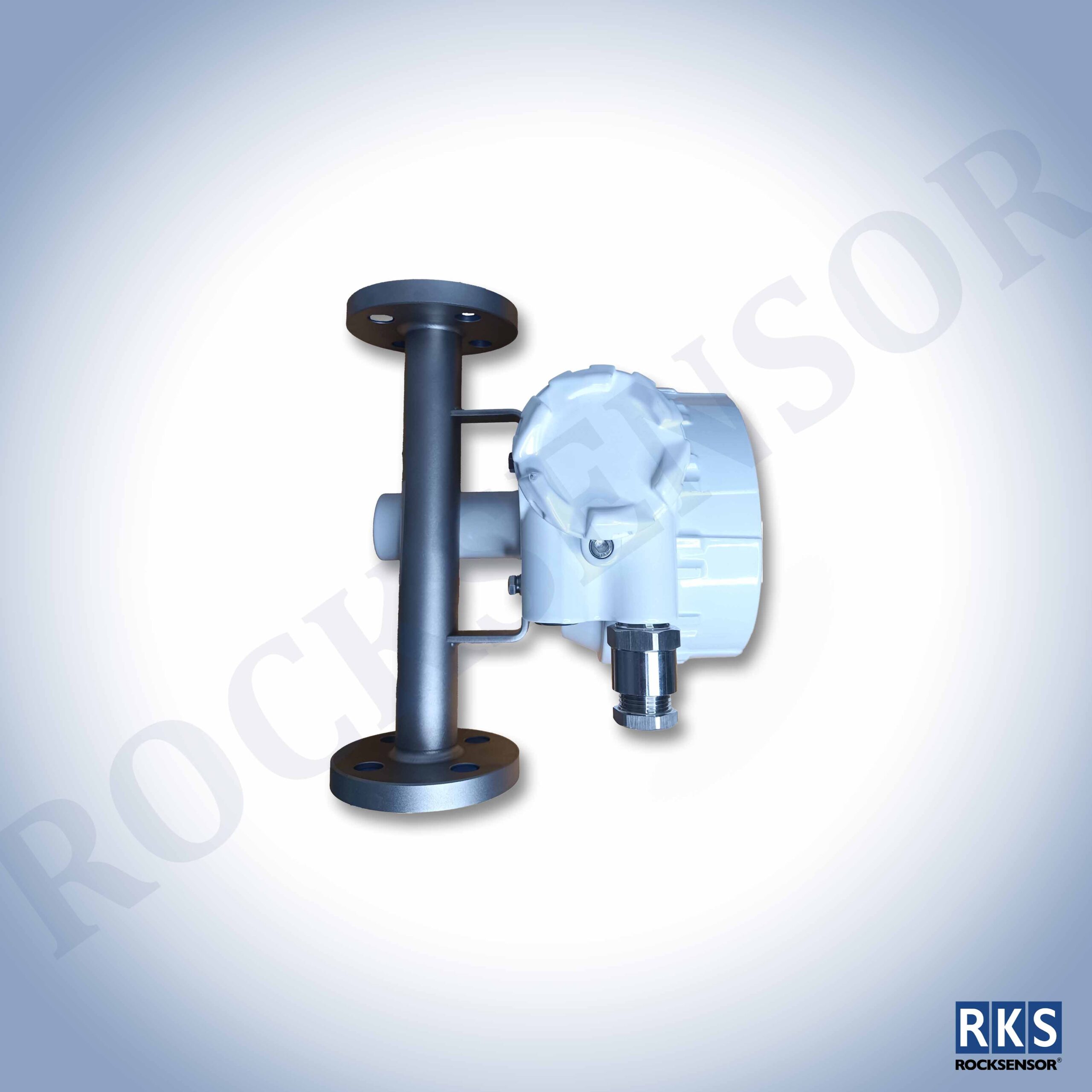 RF3600 Variable Area Flowmeter (Rotameter) - Image 4