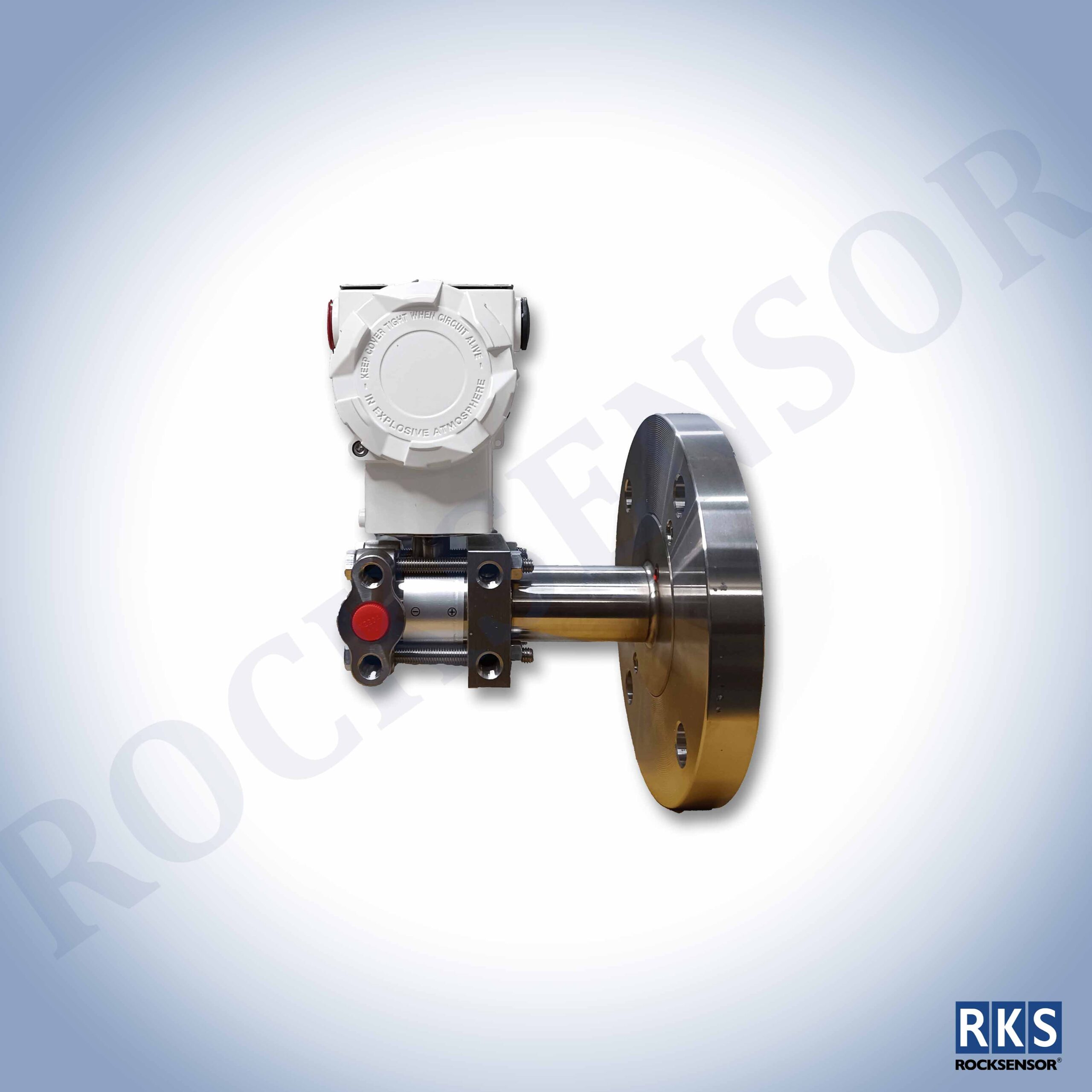 RP1001 Remote Seal DPT Direct Mount - Image 2
