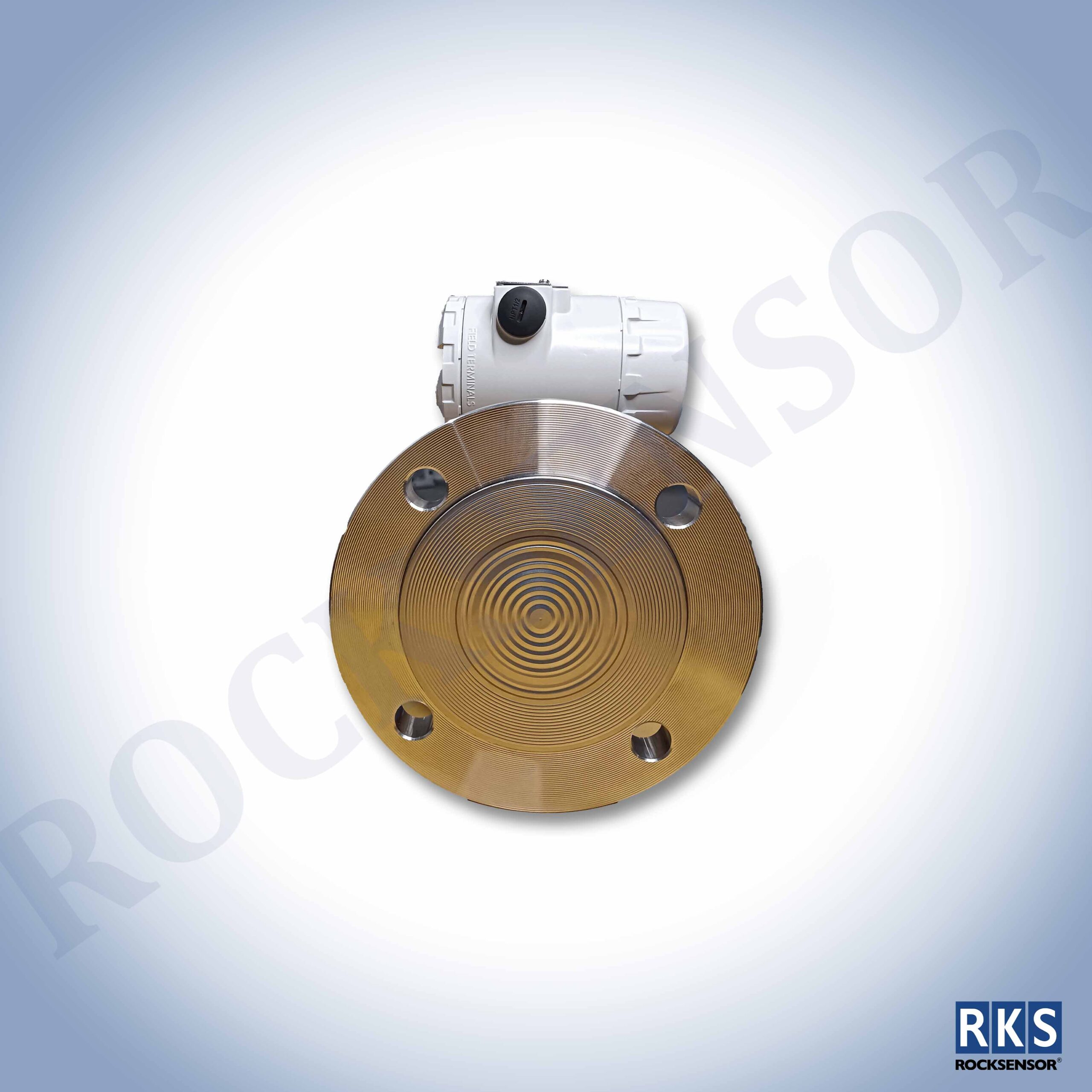 RP1001 Remote Seal DPT Direct Mount - Image 3