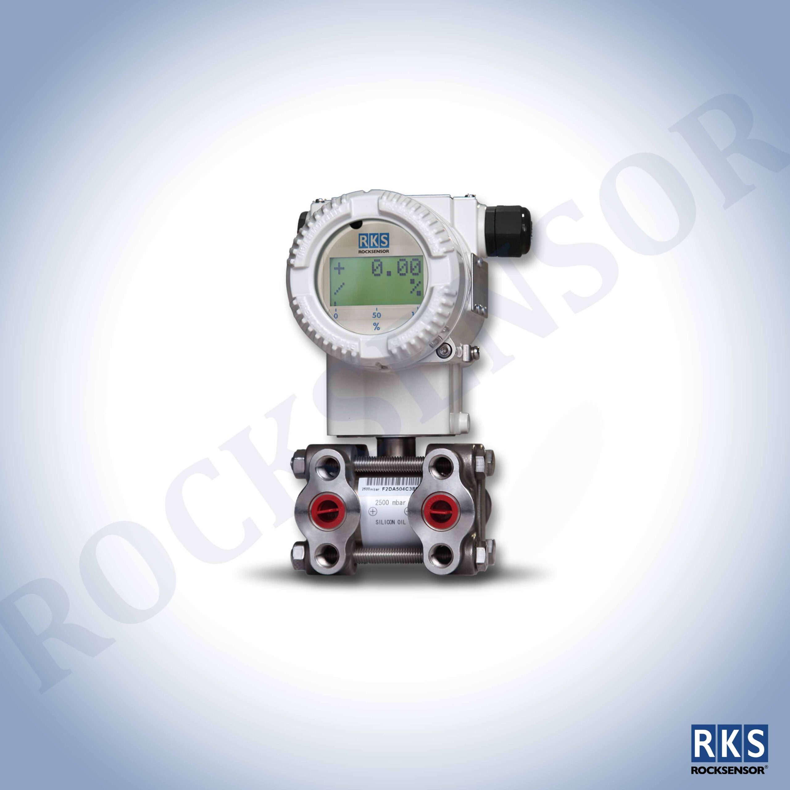 RP1001 Smart Differential Pressure Transmitter