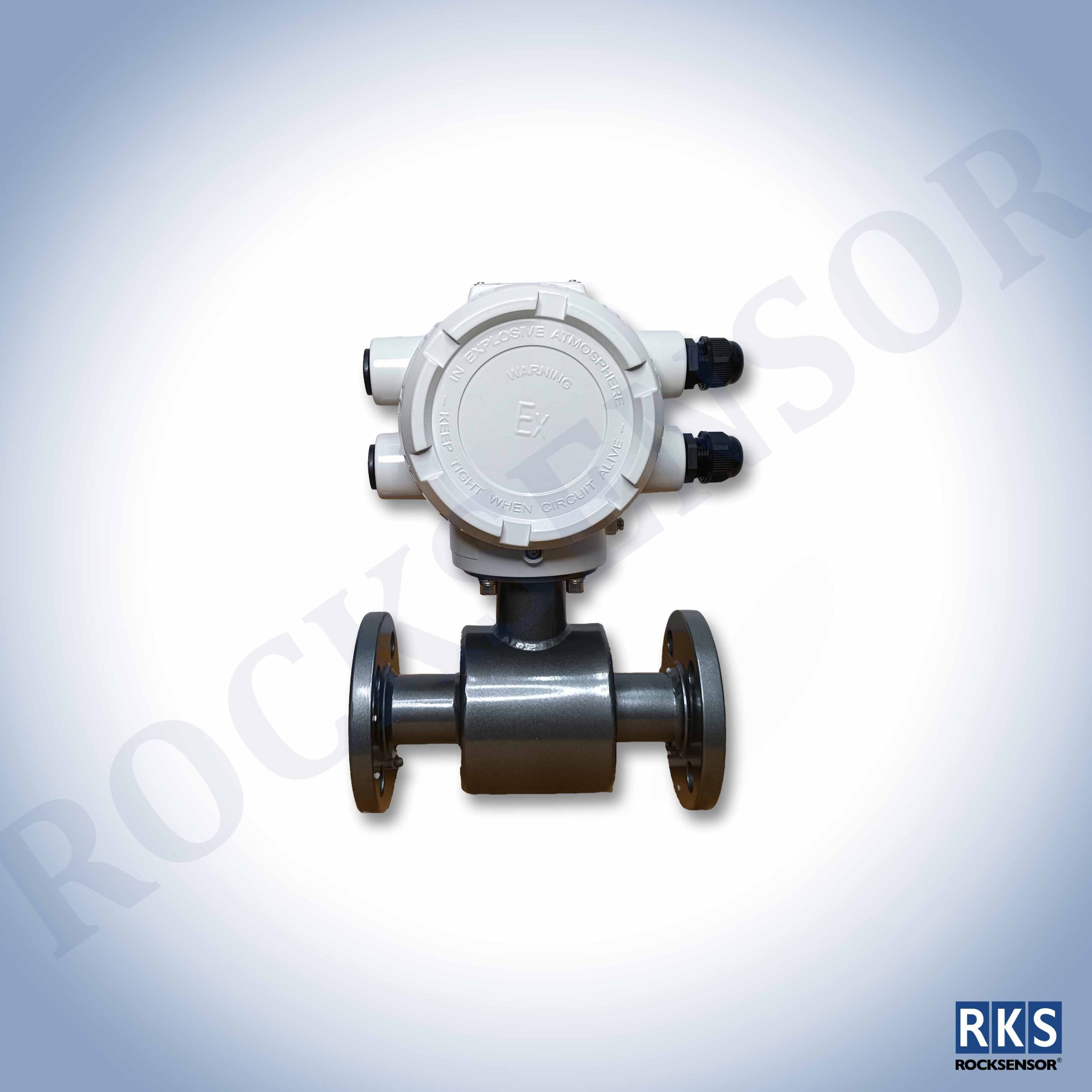 RF3300-E Electromagnetic Flowmeter - Image 2
